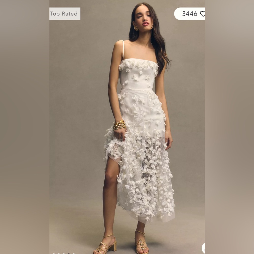 Helsi Audrey Square-Neck Floral Applique Sheer Midi Dress
